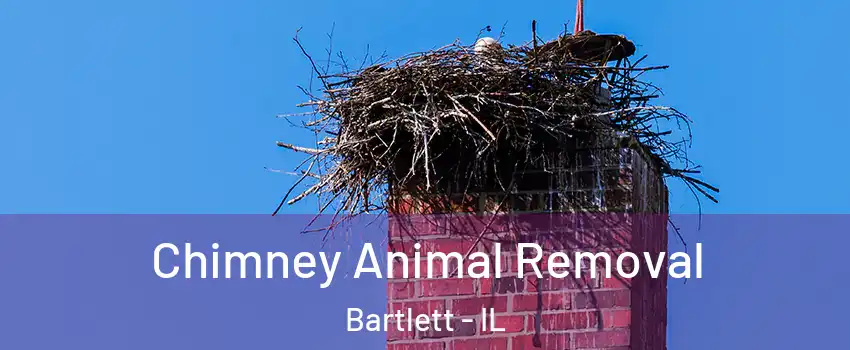  Chimney Animal Removal Bartlett - IL