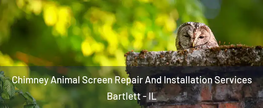  Chimney Animal Screen Repair And Installation Services Bartlett - IL