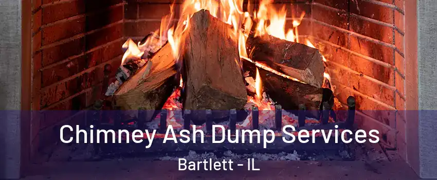  Chimney Ash Dump Services Bartlett - IL