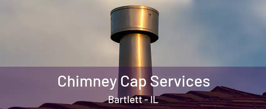 Chimney Cap Services Bartlett - IL