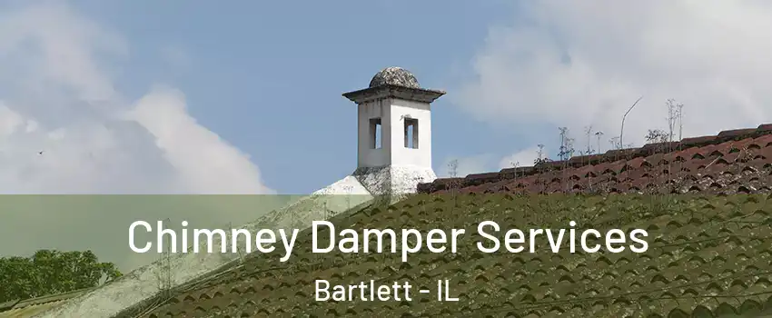  Chimney Damper Services Bartlett - IL