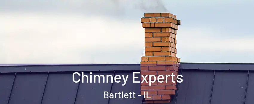  Chimney Experts Bartlett - IL