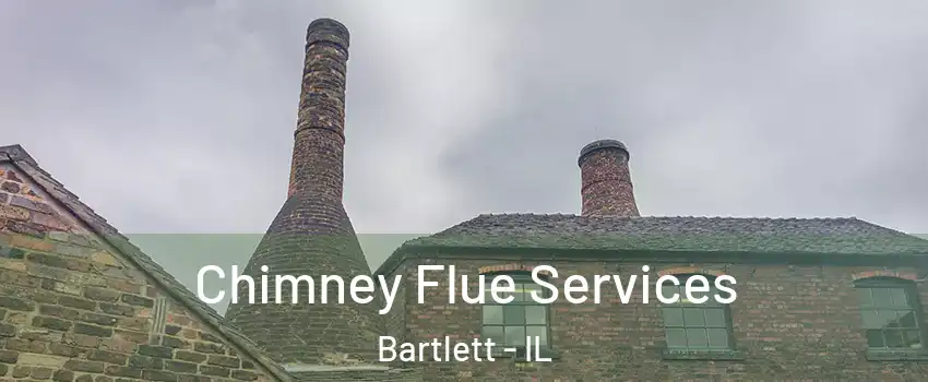  Chimney Flue Services Bartlett - IL