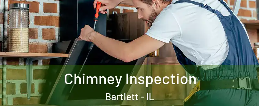  Chimney Inspection Bartlett - IL