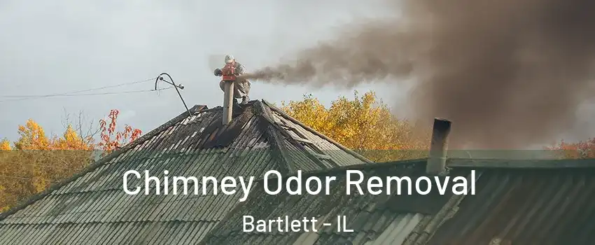  Chimney Odor Removal Bartlett - IL