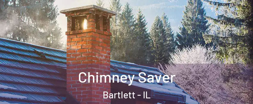  Chimney Saver Bartlett - IL