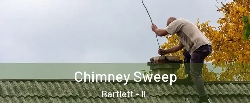  Chimney Sweep Bartlett - IL