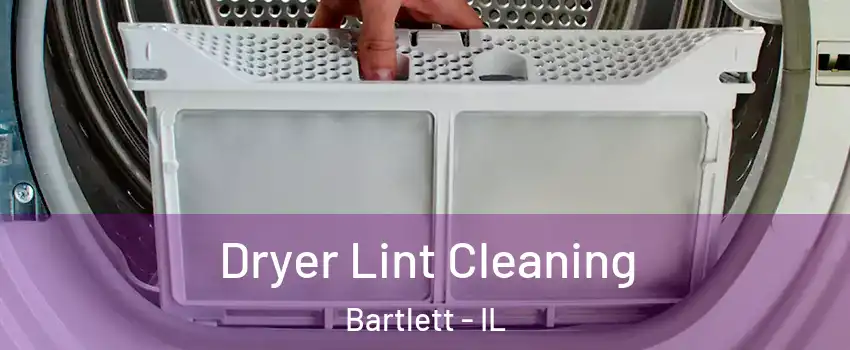  Dryer Lint Cleaning Bartlett - IL