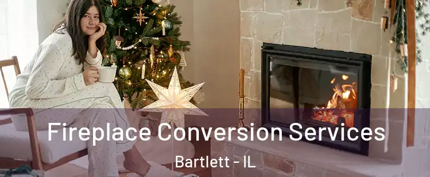  Fireplace Conversion Services Bartlett - IL