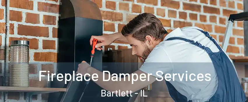 Fireplace Damper Services Bartlett - IL