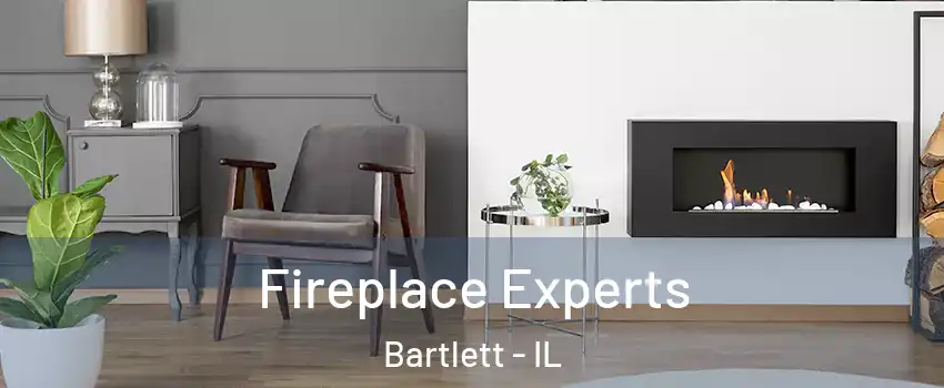  Fireplace Experts Bartlett - IL