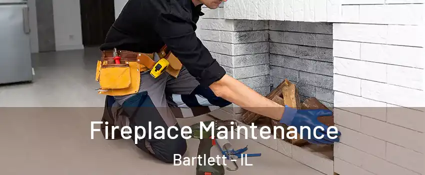  Fireplace Maintenance Bartlett - IL