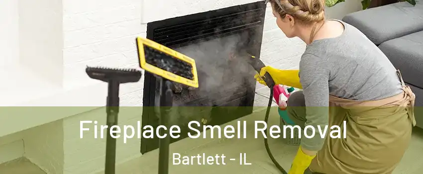  Fireplace Smell Removal Bartlett - IL