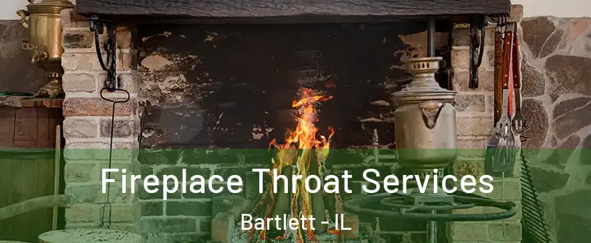  Fireplace Throat Services Bartlett - IL