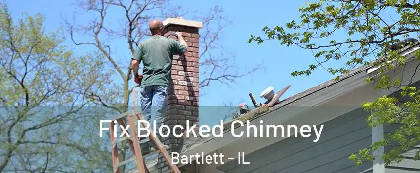  Fix Blocked Chimney Bartlett - IL