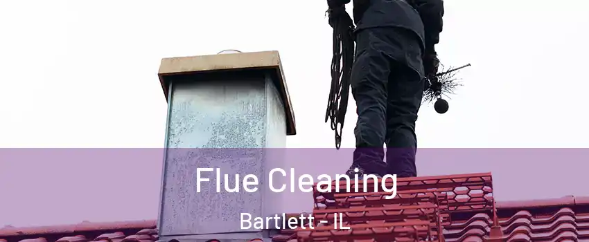  Flue Cleaning Bartlett - IL