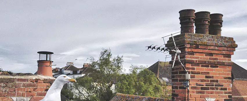 Chimney Cleaning And Restoration in Bartlett, Illinois