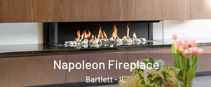  Napoleon Fireplace Bartlett - IL