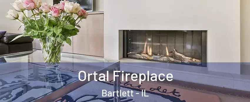 Ortal Fireplace Bartlett - IL