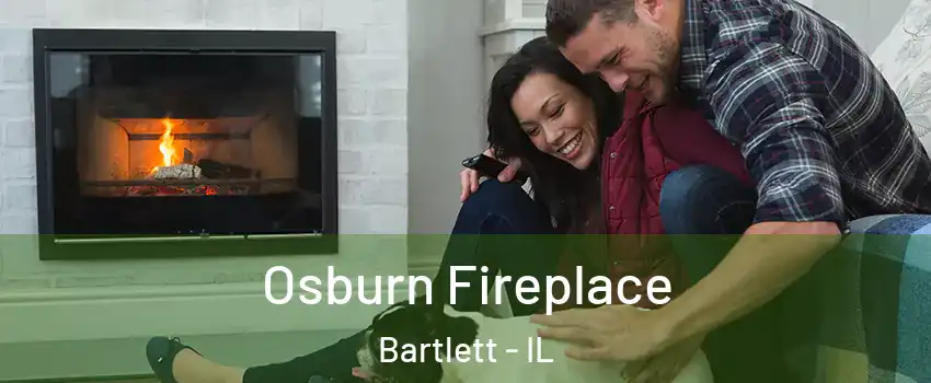 Osburn Fireplace Bartlett - IL